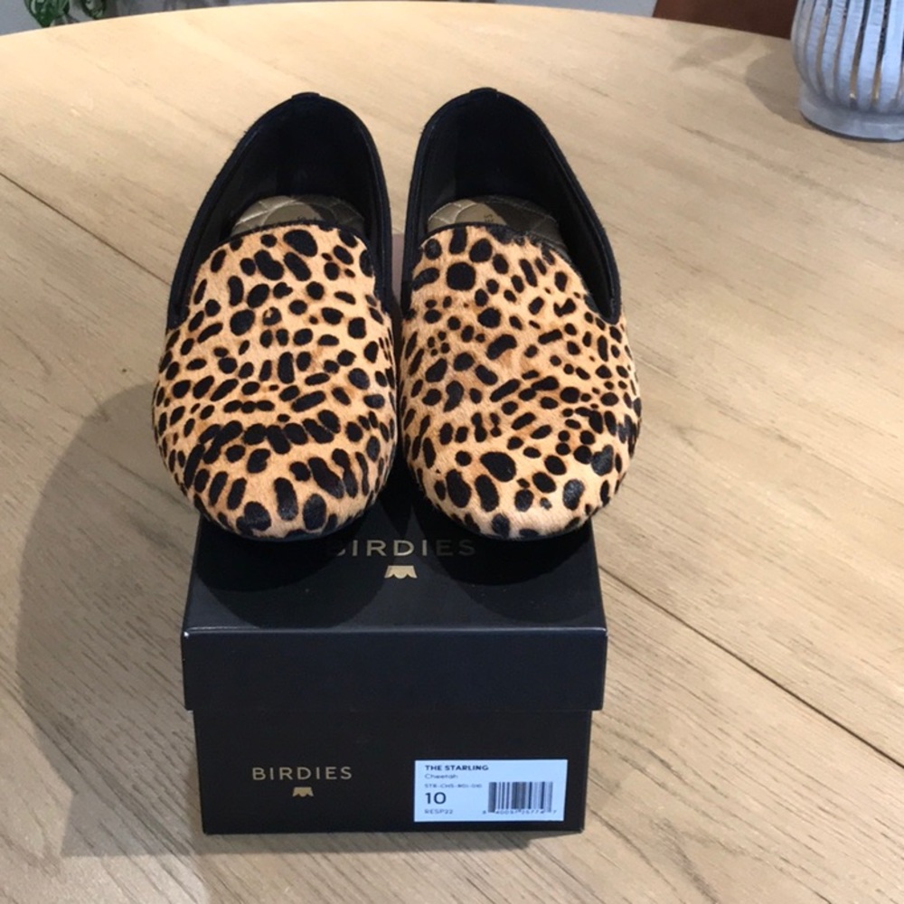 Birdies The Starling